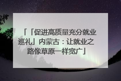 「促进高质量充分就业巡礼」内蒙古：让就业之路像草原一样宽广