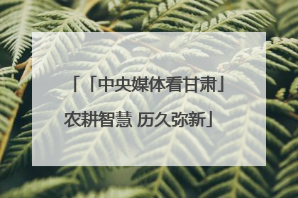 「中央媒体看甘肃」农耕智慧 历久弥新