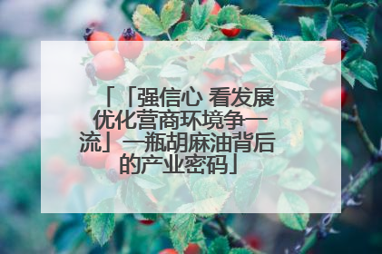 「强信心 看发展 优化营商环境争一流」一瓶胡麻油背后的产业密码