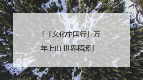 「文化中国行」万年上山 世界稻源