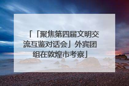 「聚焦第四届文明交流互鉴对话会」外宾团组在敦煌市考察