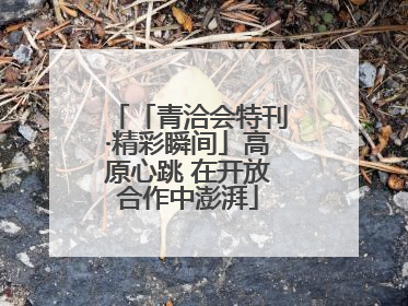 「青洽会特刊·精彩瞬间」高原心跳 在开放合作中澎湃