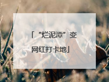 “烂泥潭”变网红打卡地