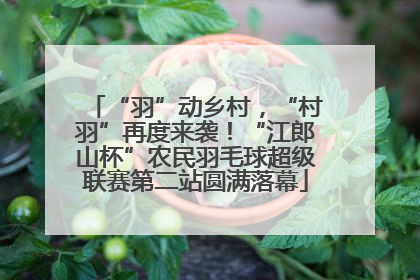 “羽”动乡村，“村羽”再度来袭！“江郎山杯”农民羽毛球超级联赛第二站圆满落幕