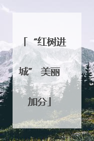 “红树进城” 美丽加分