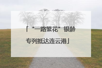 “一路繁花”银龄专列抵达连云港