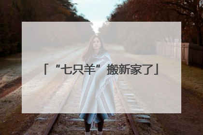 “七只羊”搬新家了