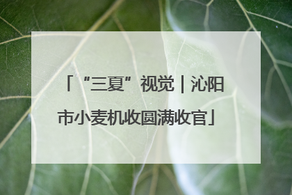 “三夏”视觉｜沁阳市小麦机收圆满收官
