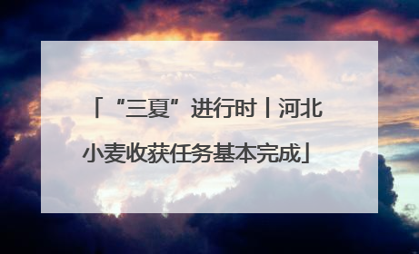 “三夏”进行时丨河北小麦收获任务基本完成
