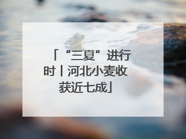 “三夏”进行时丨河北小麦收获近七成