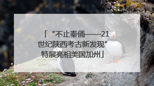 “不止秦俑——21世纪陕西考古新发现”特展亮相美国加州