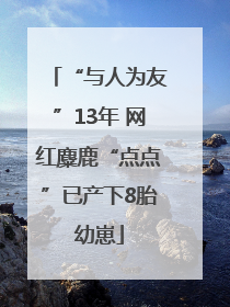 “与人为友”13年 网红麋鹿“点点”已产下8胎幼崽