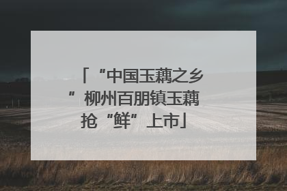 “中国玉藕之乡”柳州百朋镇玉藕抢“鲜”上市