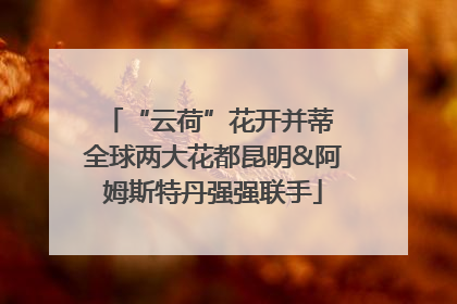 “云荷”花开并蒂 全球两大花都昆明&阿姆斯特丹强强联手
