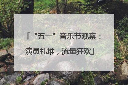 “五一”音乐节观察：演员扎堆，流量狂欢