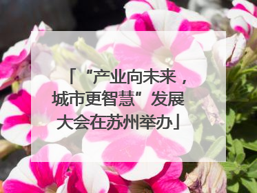 “产业向未来，城市更智慧”发展大会在苏州举办