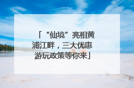 “仙境”亮相黄浦江畔，三大优惠游玩政策等你来