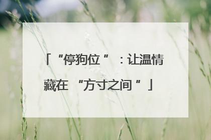 “停狗位 ”：让温情藏在 “方寸之间 ”