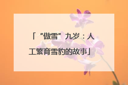 “傲雪”九岁：人工繁育雪豹的故事