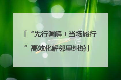 “先行调解＋当场履行”高效化解邻里纠纷