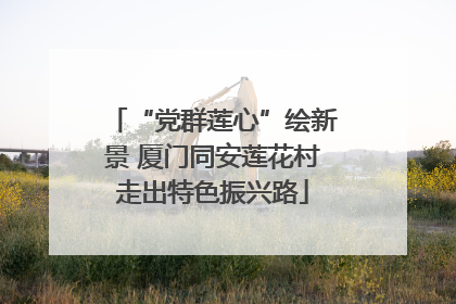 “党群莲心”绘新景 厦门同安莲花村走出特色振兴路