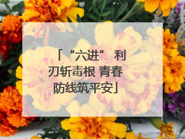 “六进” 利刃斩毒根 青春防线筑平安