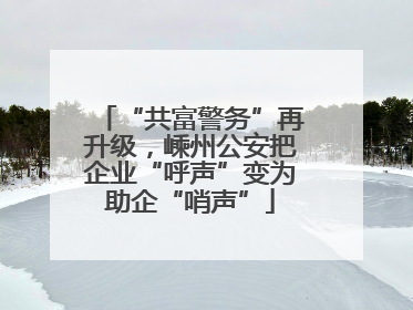 “共富警务”再升级，嵊州公安把企业“呼声”变为助企“哨声”