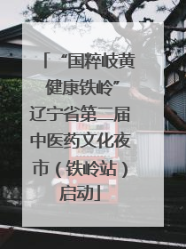 “国粹岐黄 健康铁岭”辽宁省第二届中医药文化夜市（铁岭站）启动