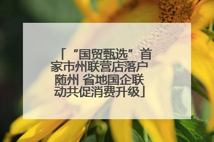 “国贸甄选”首家市州联营店落户随州 省地国企联动共促消费升级