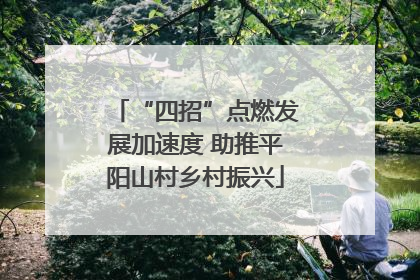 “四招”点燃发展加速度 助推平阳山村乡村振兴