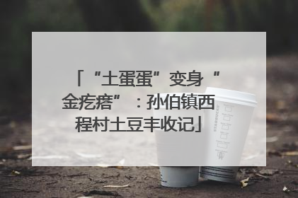 “土蛋蛋”变身“金疙瘩”：孙伯镇西程村土豆丰收记