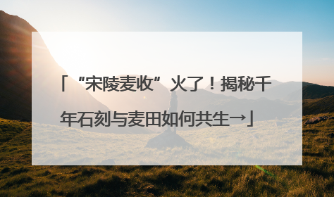 “宋陵麦收”火了！揭秘千年石刻与麦田如何共生→