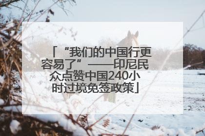 “我们的中国行更容易了”——印尼民众点赞中国240小时过境免签政策