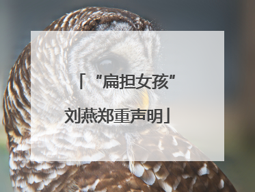 “扁担女孩”刘燕郑重声明