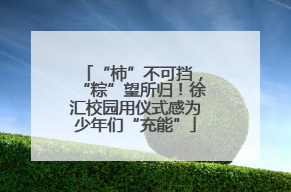 “柿”不可挡，“粽”望所归！徐汇校园用仪式感为少年们“充能”