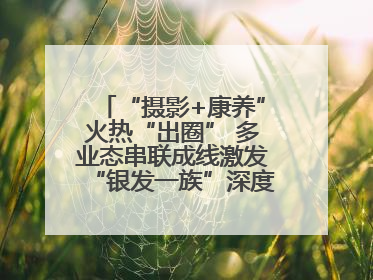 “摄影+康养”火热“出圈” 多业态串联成线激发“银发一族”深度游潜力