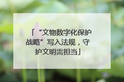 “文物数字化保护战略”写入法规，守护文明需担当
