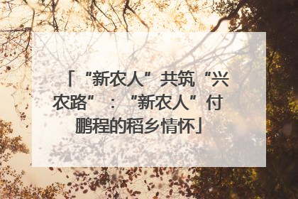 “新农人”共筑“兴农路”：“新农人”付鹏程的稻乡情怀