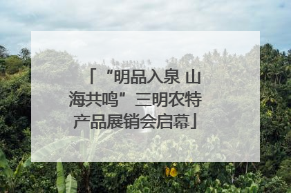“明品入泉 山海共鸣”三明农特产品展销会启幕