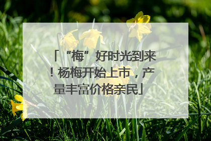 “梅”好时光到来！杨梅开始上市，产量丰富价格亲民