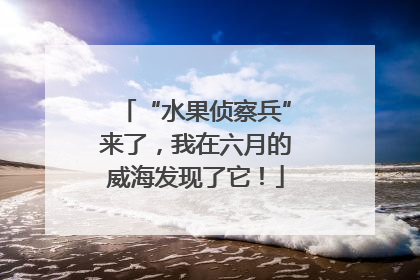 “水果侦察兵”来了，我在六月的威海发现了它！