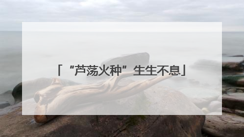 “芦荡火种”生生不息
