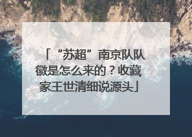 “苏超”南京队队徽是怎么来的？收藏家王世清细说源头