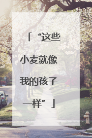 “这些小麦就像我的孩子一样”