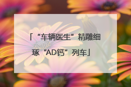 “车辆医生”精雕细琢“AD钙”列车