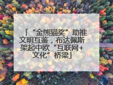“金熊猫奖”助推文明互鉴，布达佩斯架起中欧“互联网+文化”桥梁