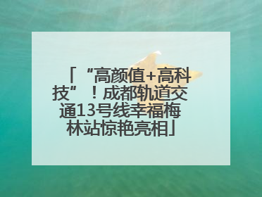 “高颜值+高科技”！成都轨道交通13号线幸福梅林站惊艳亮相
