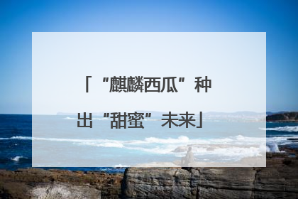 “麒麟西瓜”种出“甜蜜”未来