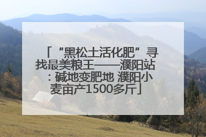 “黑松土活化肥”寻找最美粮王——濮阳站：碱地变肥地 濮阳小麦亩产1500多斤