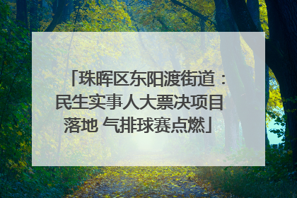 珠晖区东阳渡街道：民生实事人大票决项目落地 气排球赛点燃